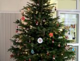 Weihnachtsgruß